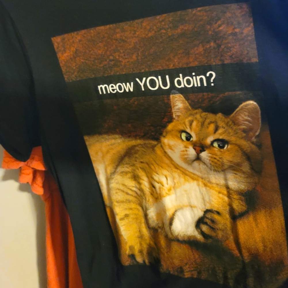Spencer's funny cat T-shirt